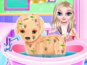 Animal Clinic Helper for Youngsters