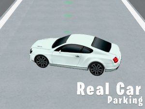 Real Car Parking 3D Online Game - Driving Simulator