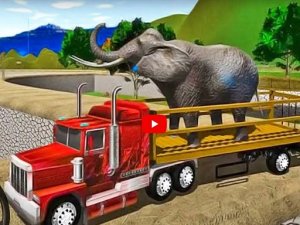 Wildlife Haul Simulation