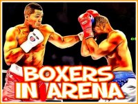Boxing Arena Puzzle