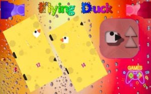 Sky Duck Navigation