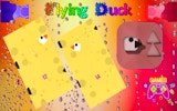 Sky Duck Navigation