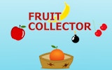 Fruit Collector - Catch the Fruits Game