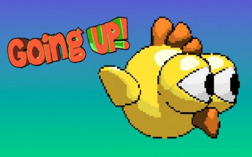 Going Up: Bird Flight Adventure