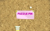Puzzle Pin Physics Game