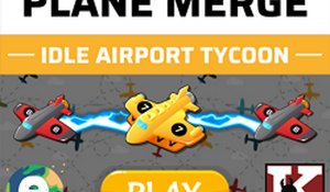 Airline Fleet Merger